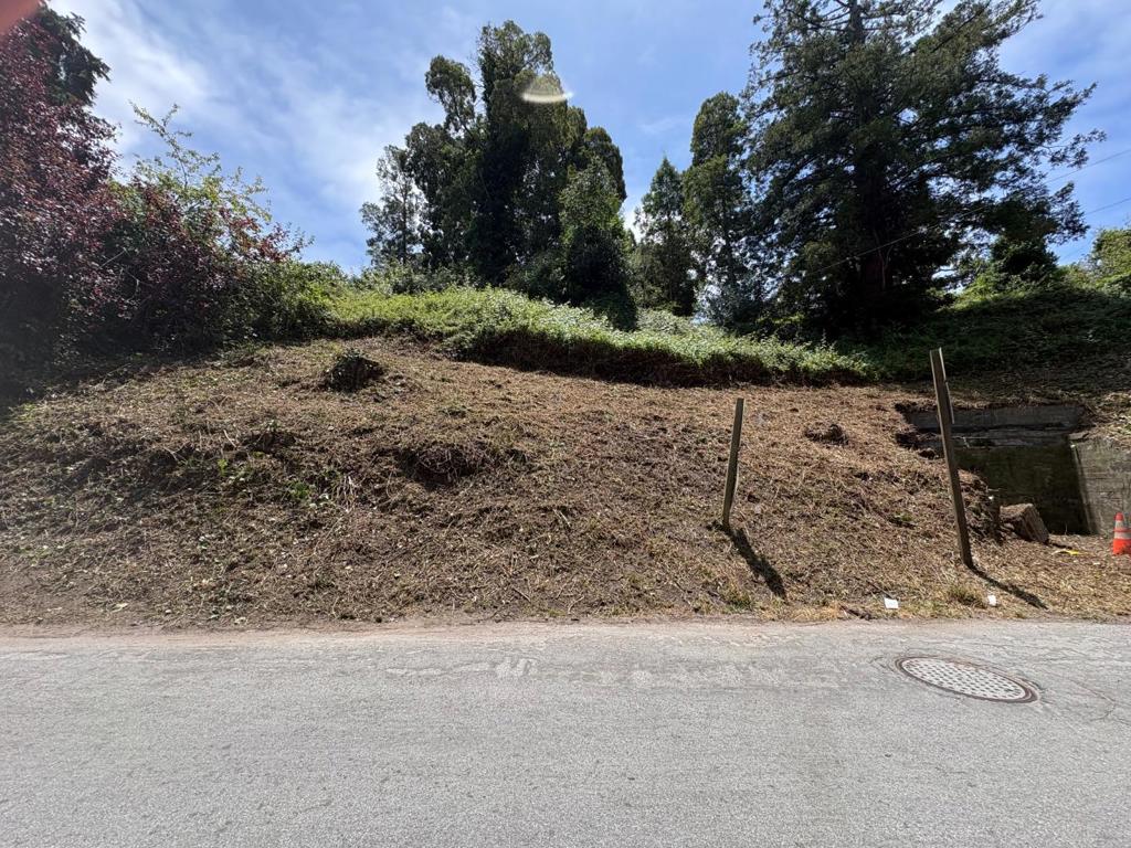 502 Loma Prieta Drive Property Photo 6