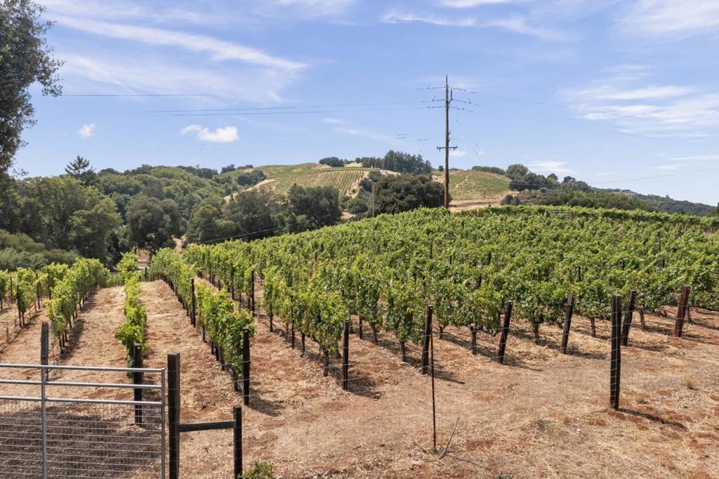 15060 Montebello Road Property Photo 76