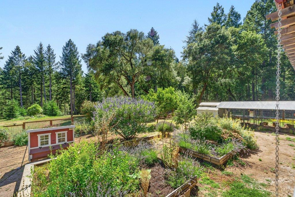 310 Winter Creek Road Property Photo 39