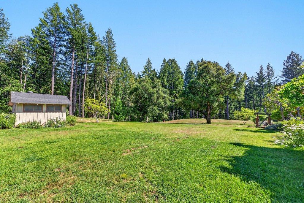 310 Winter Creek Road Property Photo 55