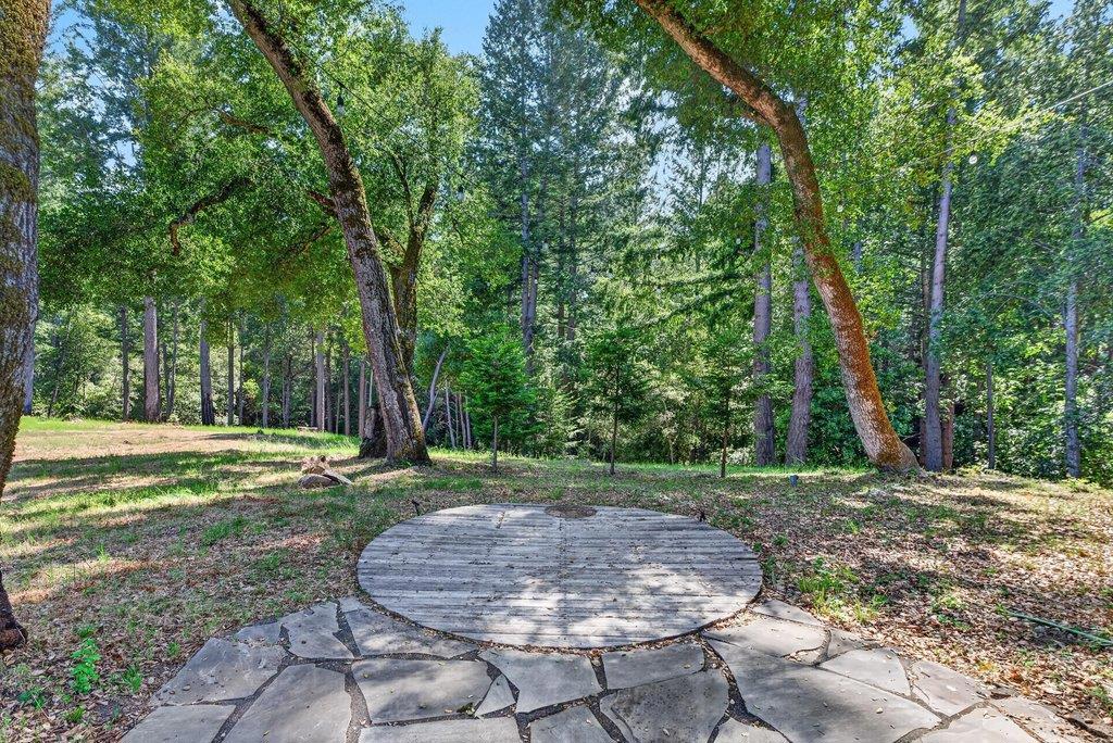 310 Winter Creek Road Property Photo 56