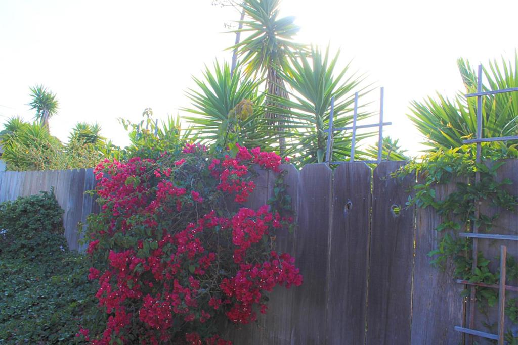 461 Dela Vina Avenue 104 Property Photo 29