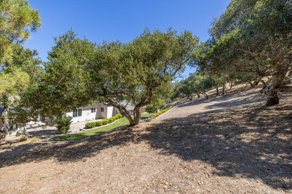 28951 Falcon Ridge Property Photo 64