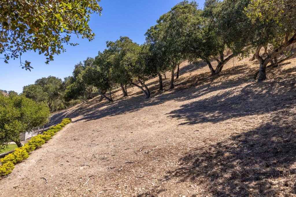 28951 Falcon Ridge Property Photo 65