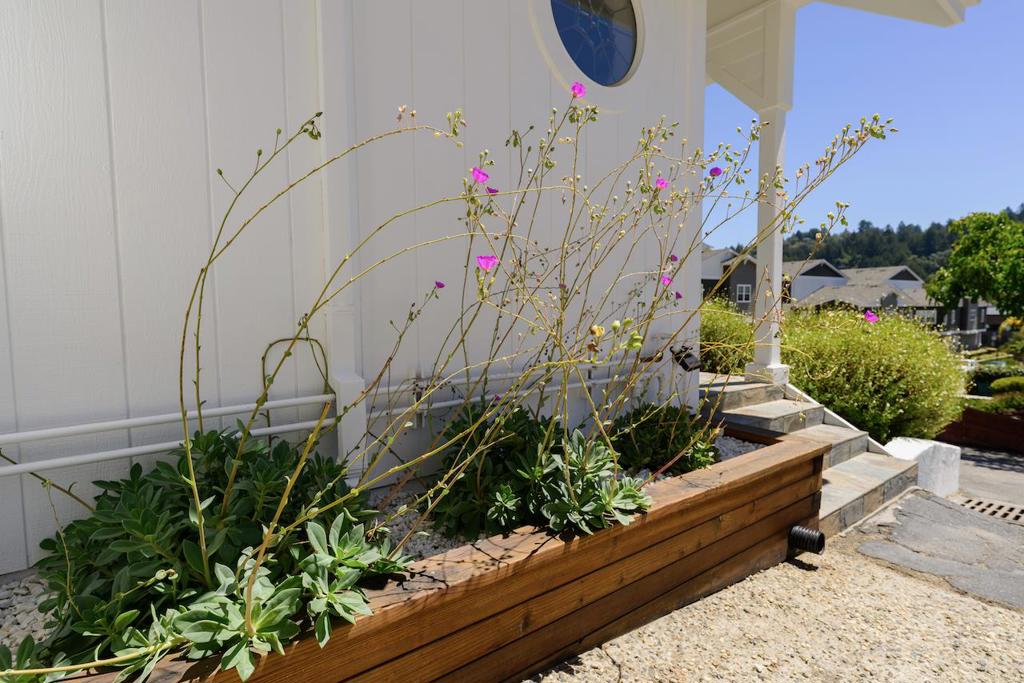 31 Dunslee Way Property Photo 61