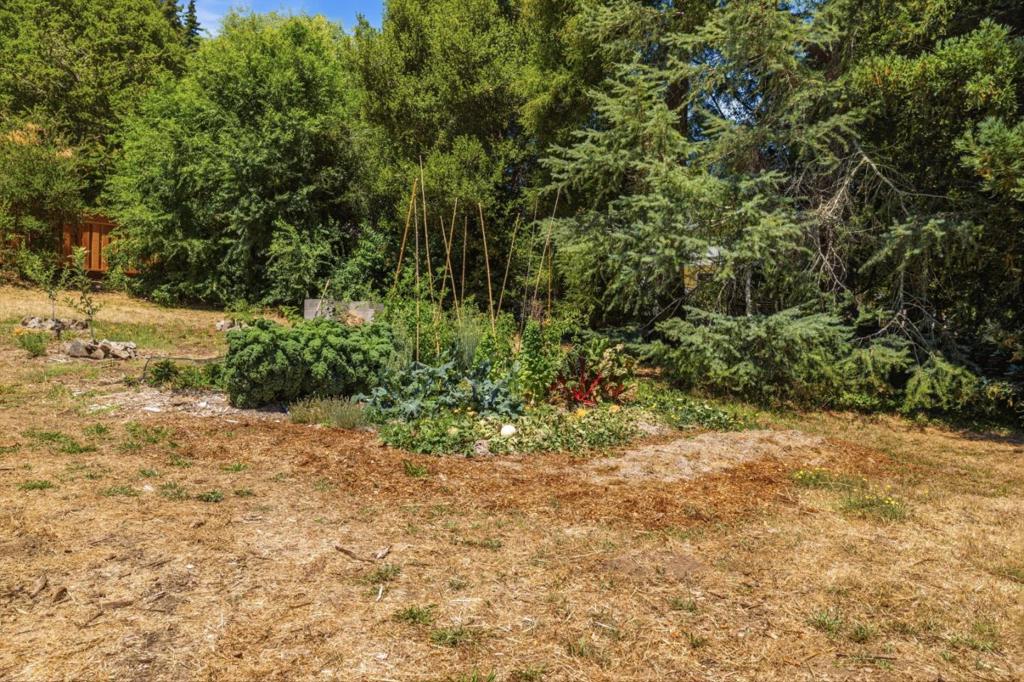260 El Solyo Heights Drive Property Photo 25