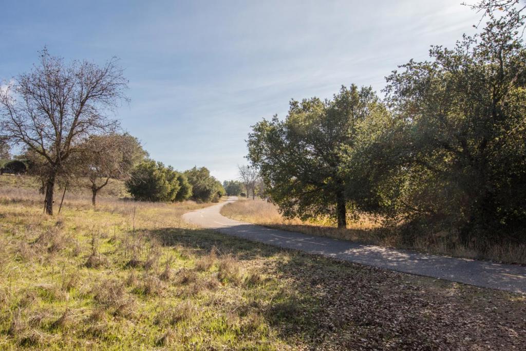 22963 Longdown Road Property Photo 84