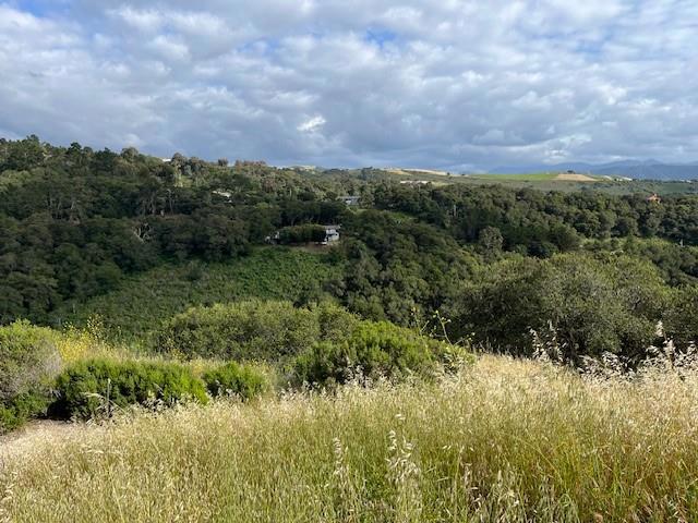 26135 Zdan Road Property Photo 2