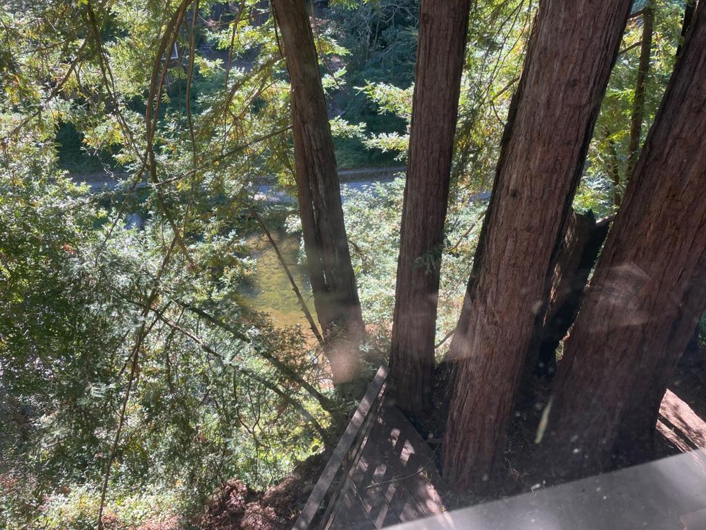 11045 Riverside Road Property Photo 46