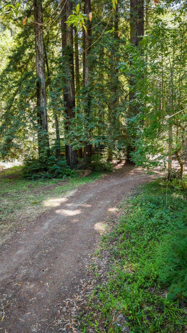 8400 Tyrone Road Property Photo 14