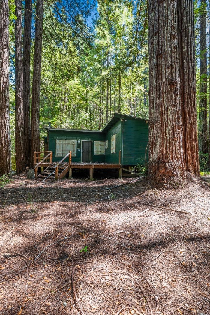 8400 Tyrone Road Property Photo 15