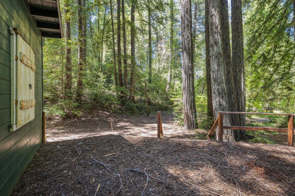 8400 Tyrone Road Property Photo 18
