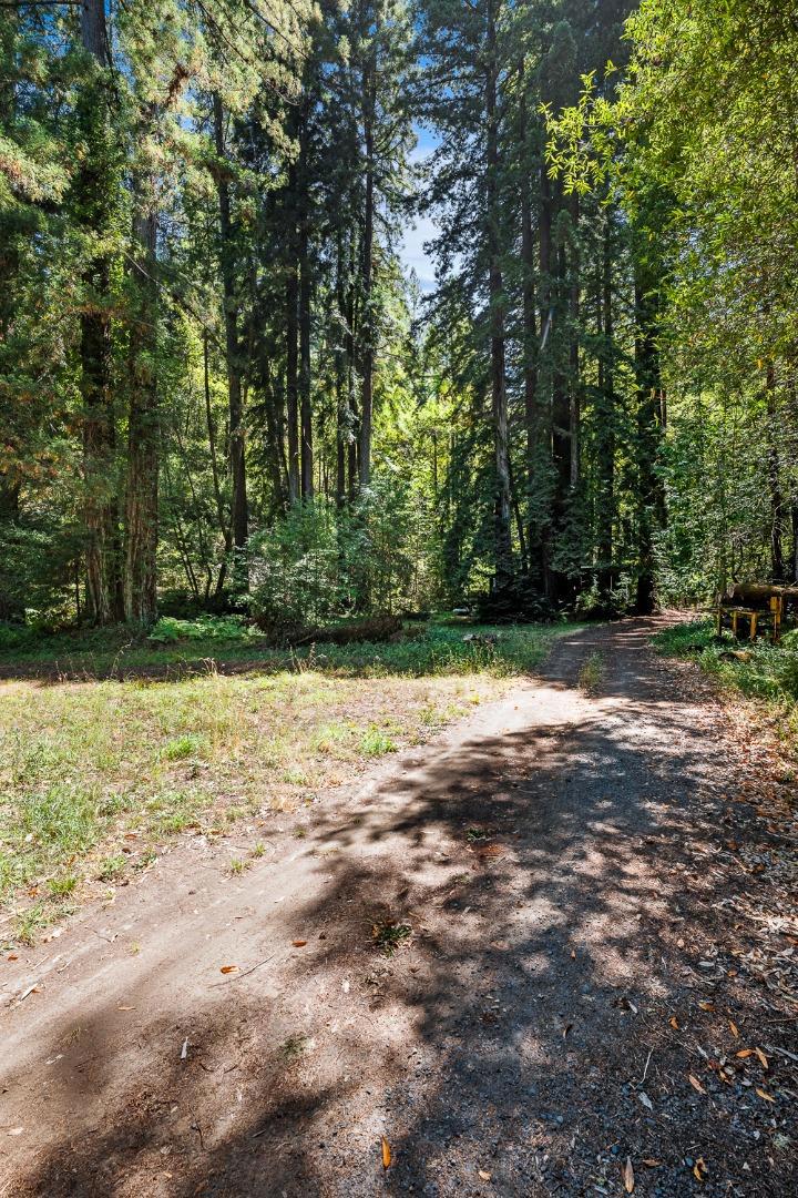 8400 Tyrone Road Property Photo 35