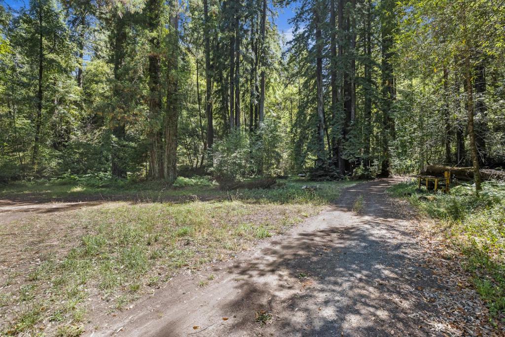 8400 Tyrone Road Property Photo 36