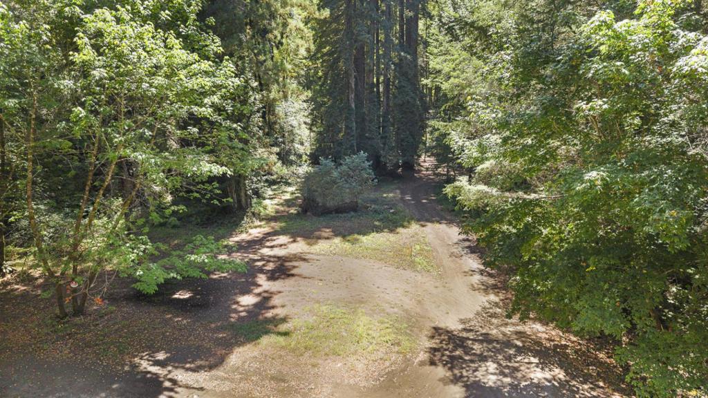 8400 Tyrone Road Property Photo 39