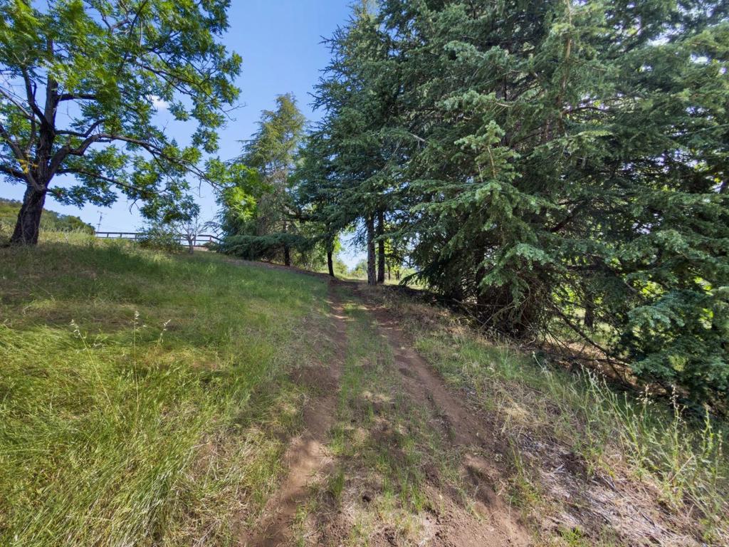 7025 Glen Haven Road Property Photo 62