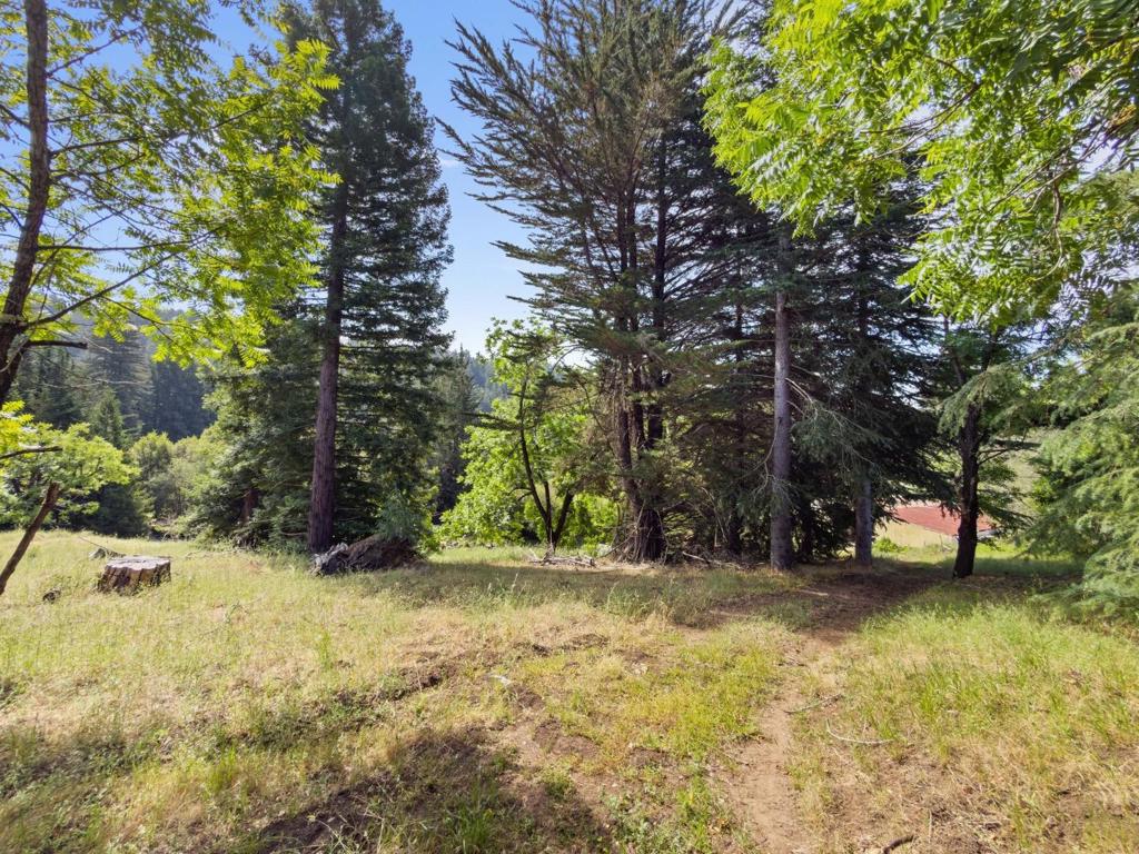 7025 Glen Haven Road Property Photo 63