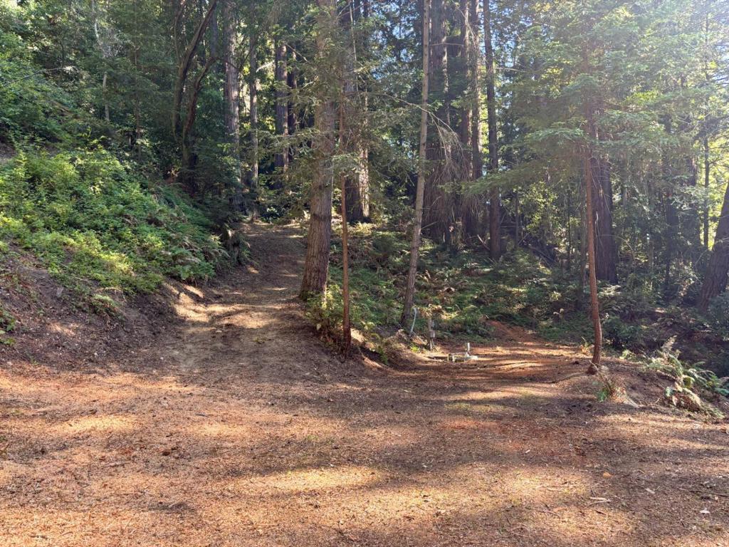 15645 Stetson Road Property Photo 3