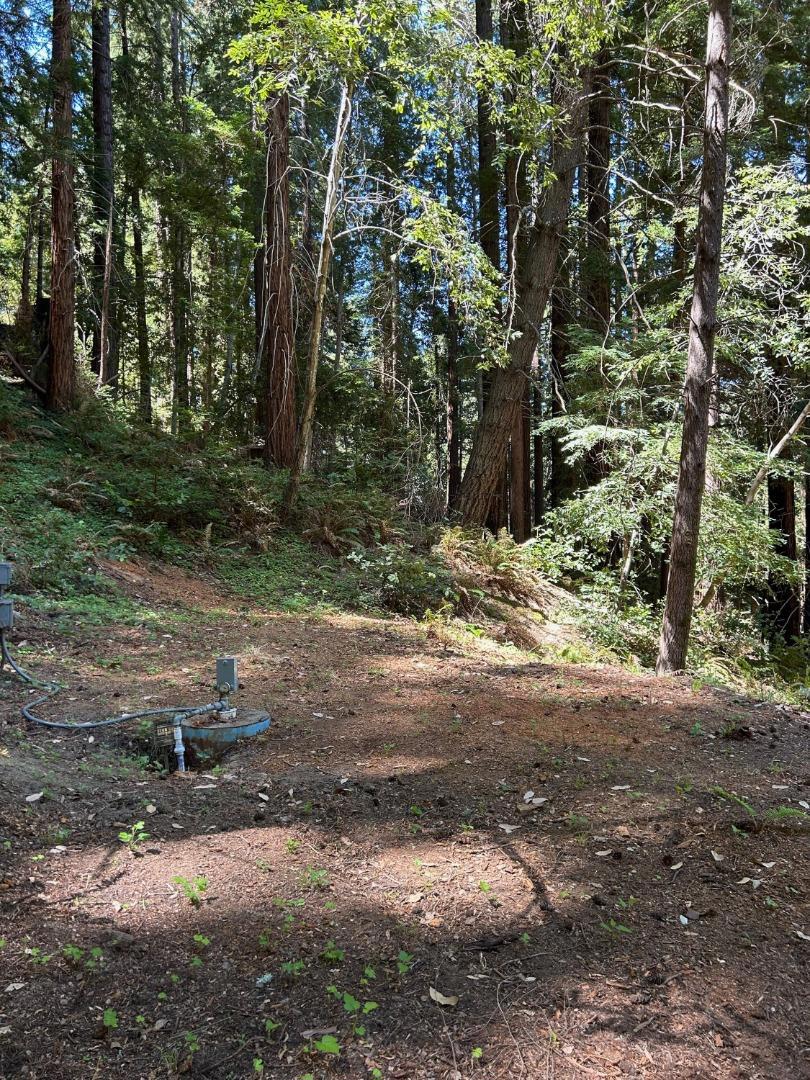 15645 Stetson Road Property Photo 4