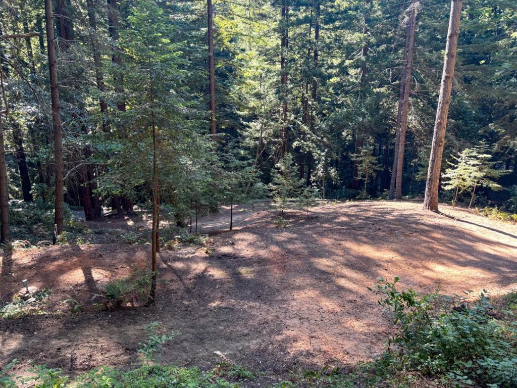 15645 Stetson Road Property Photo 5