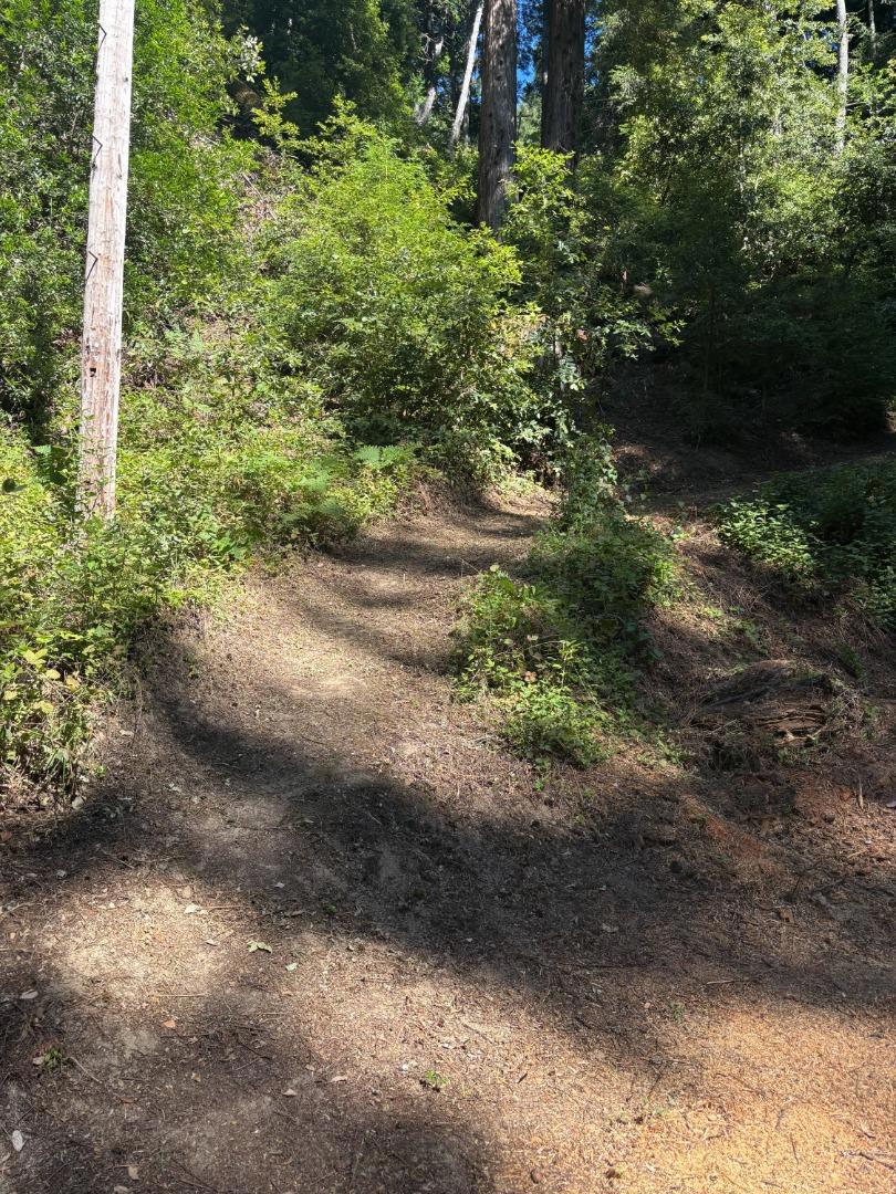 15645 Stetson Road Property Photo 7