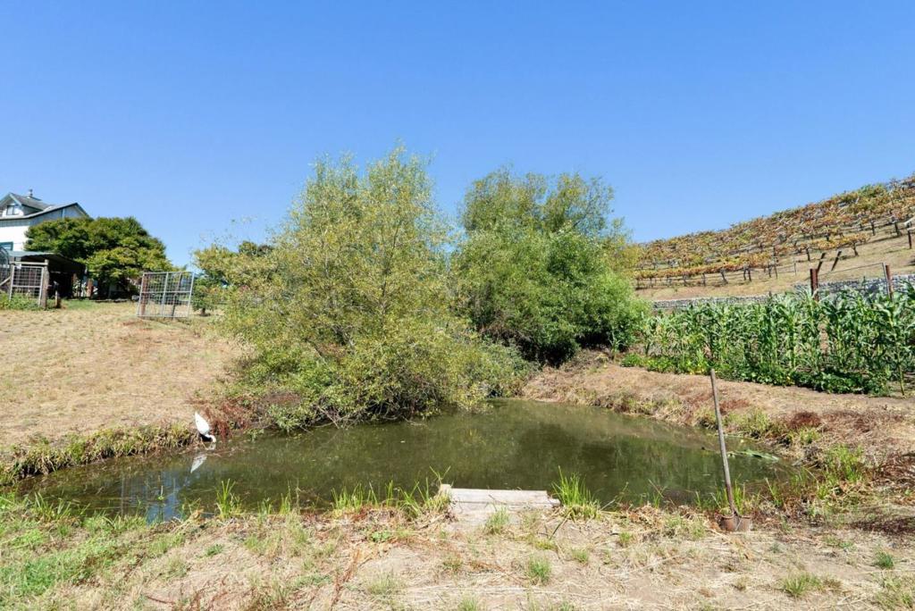7337 Glen Haven Road Property Photo 58