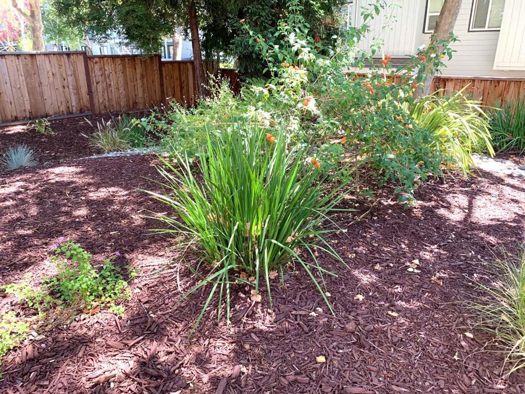 1672 Branham Park Place Property Photo 24
