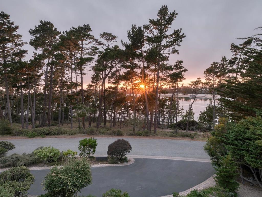 3029 Forest Way Property Photo 1