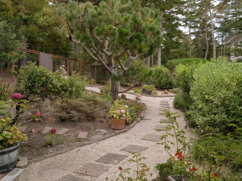 3029 Forest Way Property Photo 20