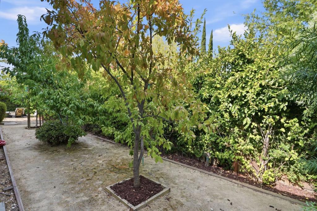 7098 Bret Harte Drive Property Photo 41