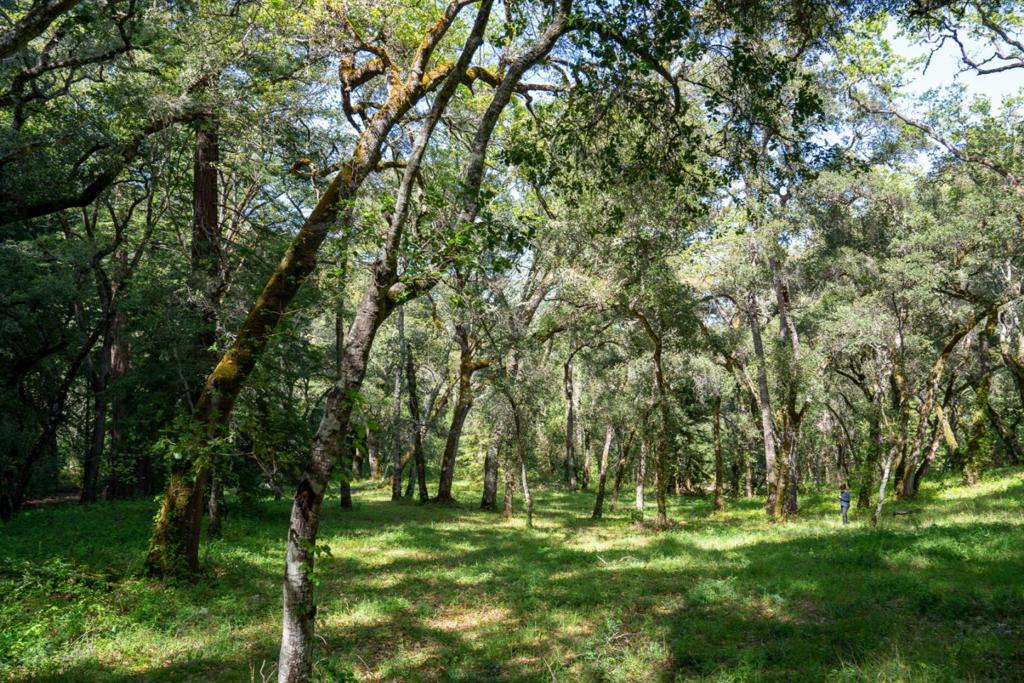 35000 Robinson Canyon Road Property Photo 1