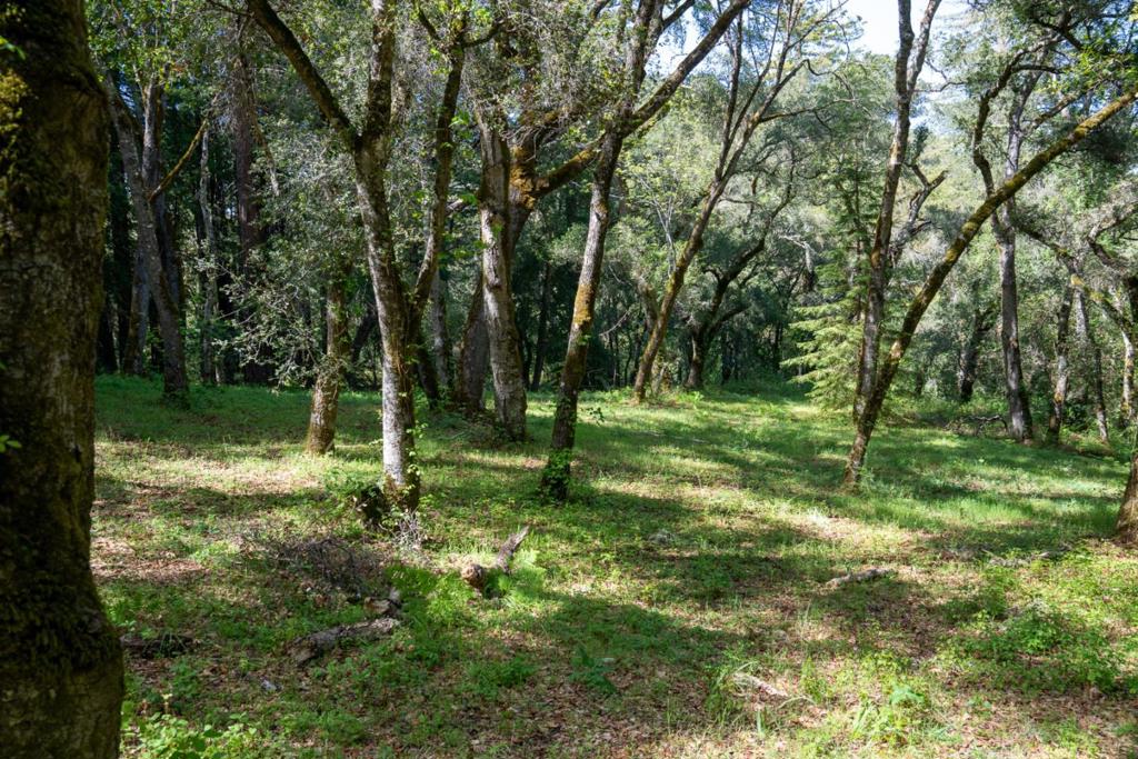 35000 Robinson Canyon Road Property Photo 2
