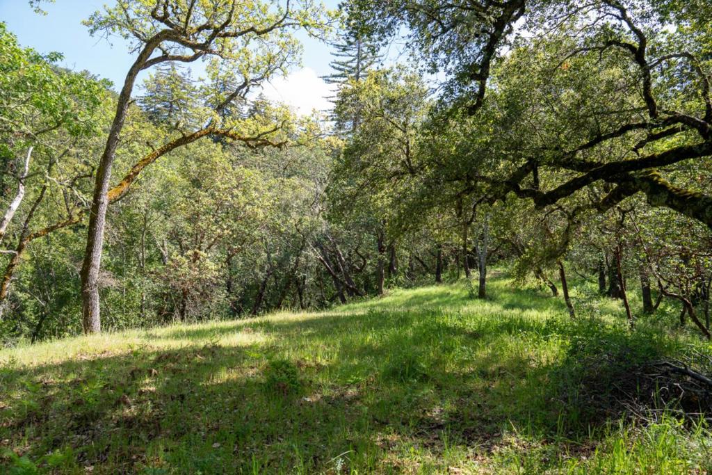 35000 Robinson Canyon Road Property Photo 3