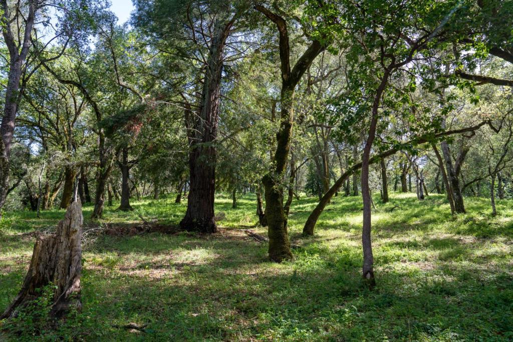 35000 Robinson Canyon Road Property Photo 4