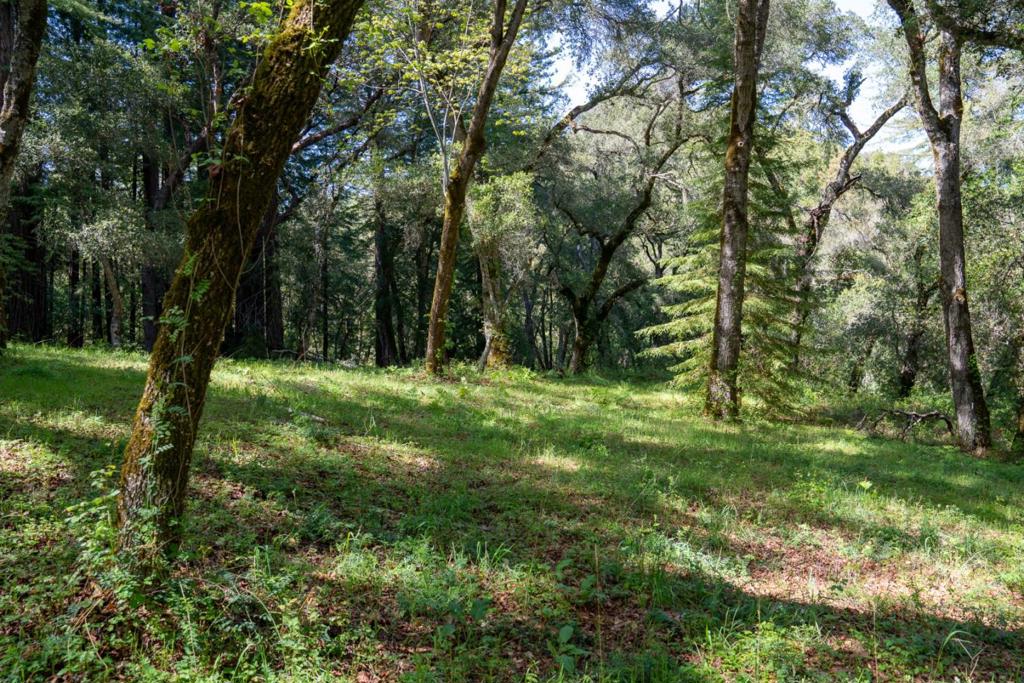 35000 Robinson Canyon Road Property Photo 5