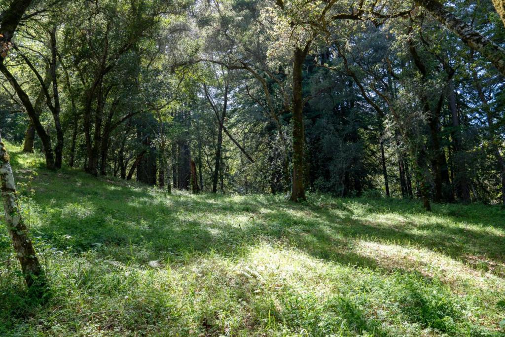 35000 Robinson Canyon Road Property Photo 6