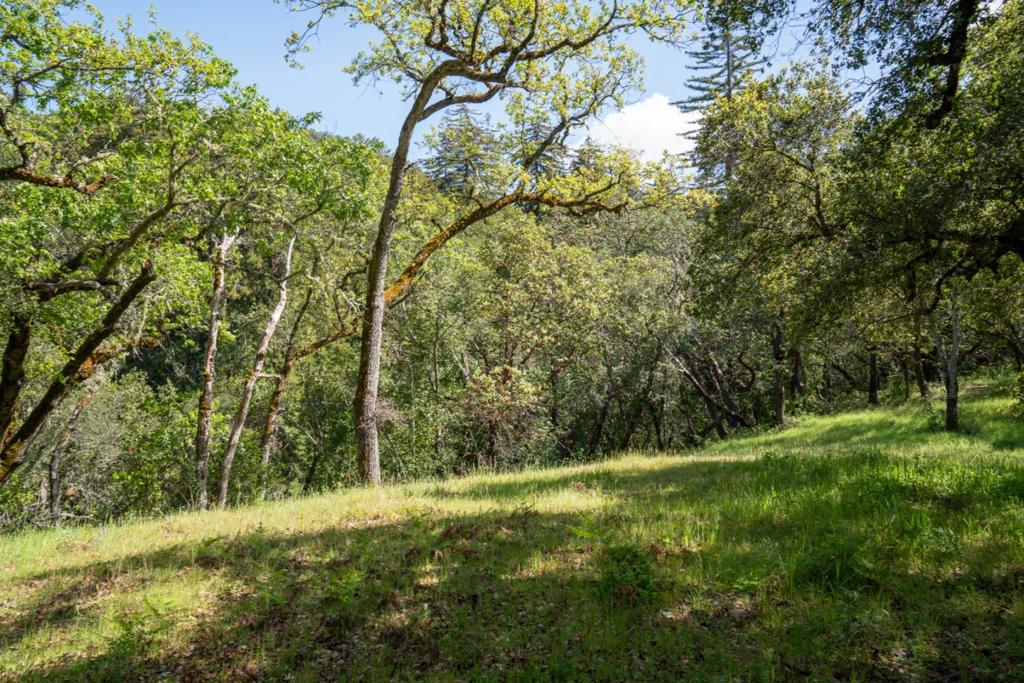 35000 Robinson Canyon Road Property Photo 7