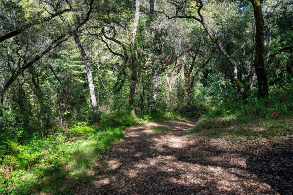 35000 Robinson Canyon Road Property Photo 8