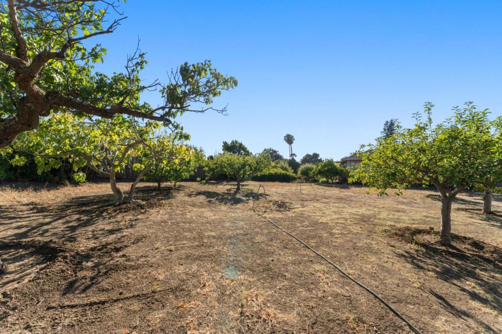 11081 Enchanto Vista Drive Property Photo 6