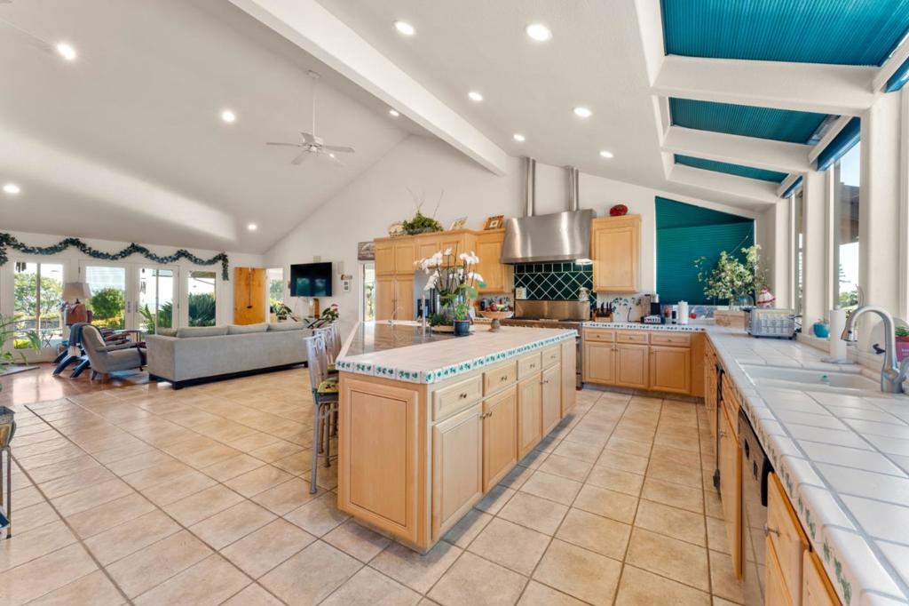 11081 Enchanto Vista Drive Property Photo 12