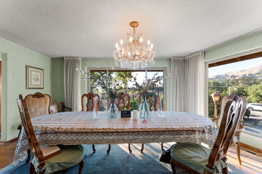 11081 Enchanto Vista Drive Property Photo 16