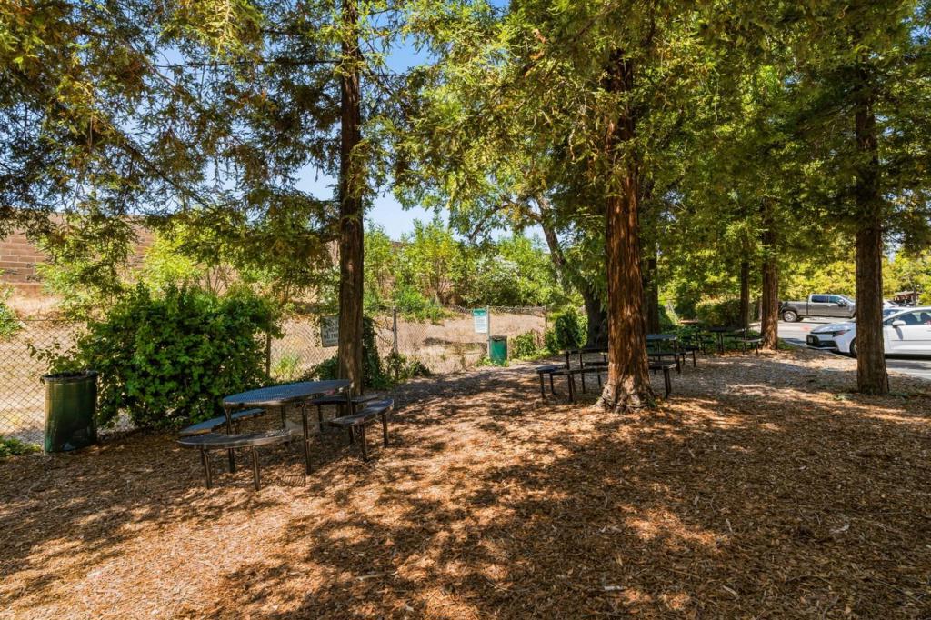 872 Catkin Court Property Photo 49