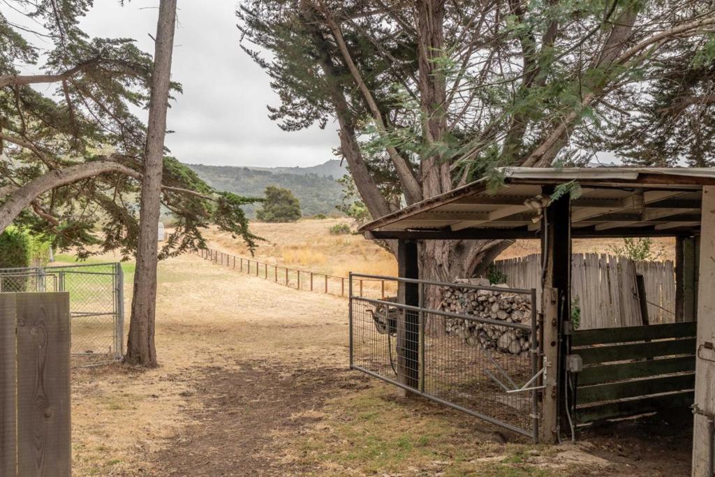 6965 Carmel Valley Road Property Photo 42