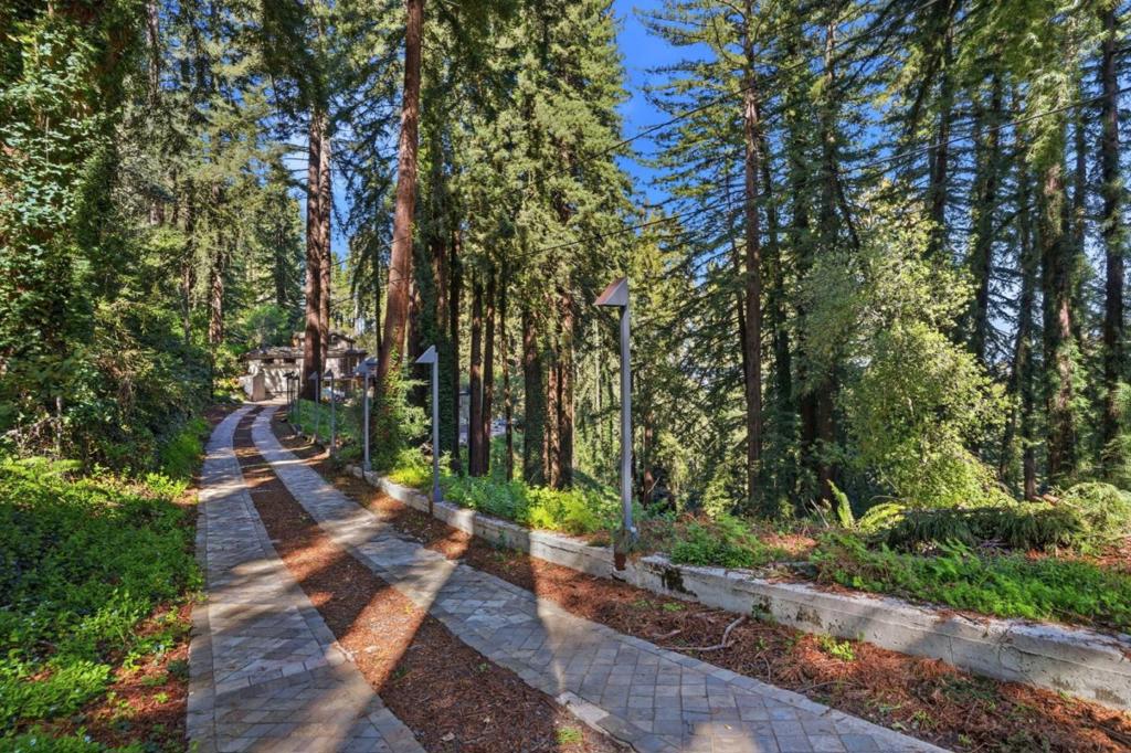 26 Big Tree Road Property Photo 3