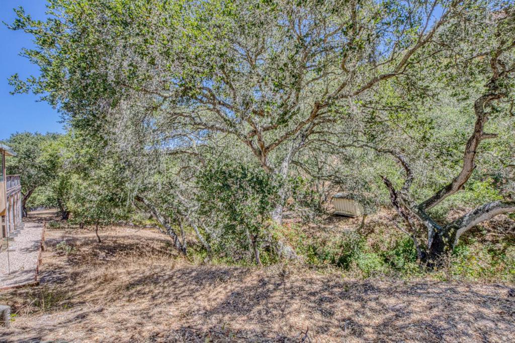 186 San Benancio Road Property Photo 40