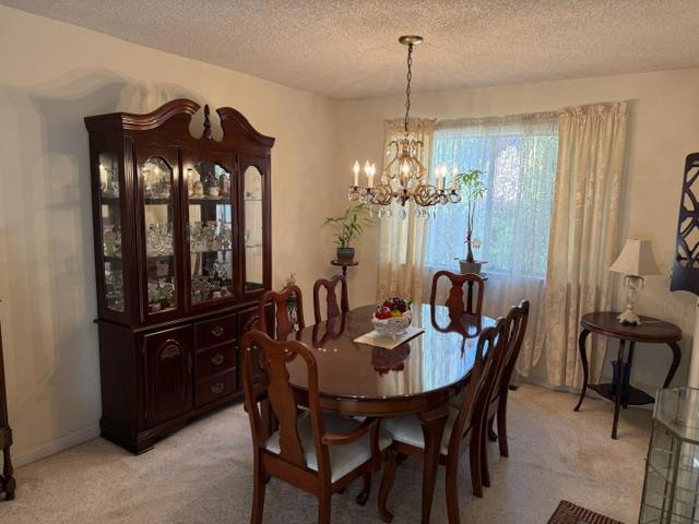 7040 Valley Forge Drive Property Photo 8