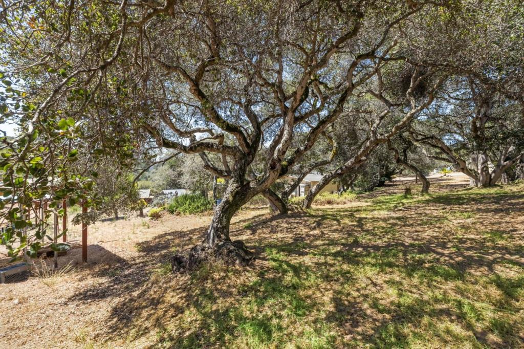 18820 Vierra Canyon Road Property Photo 23