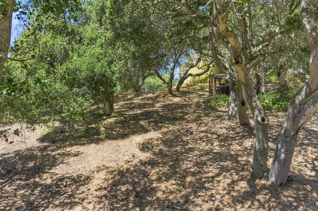 18820 Vierra Canyon Road Property Photo 24