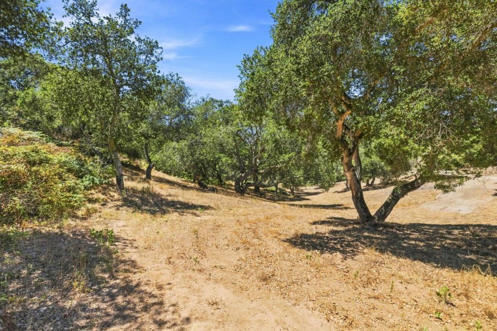 18820 Vierra Canyon Road Property Photo 26
