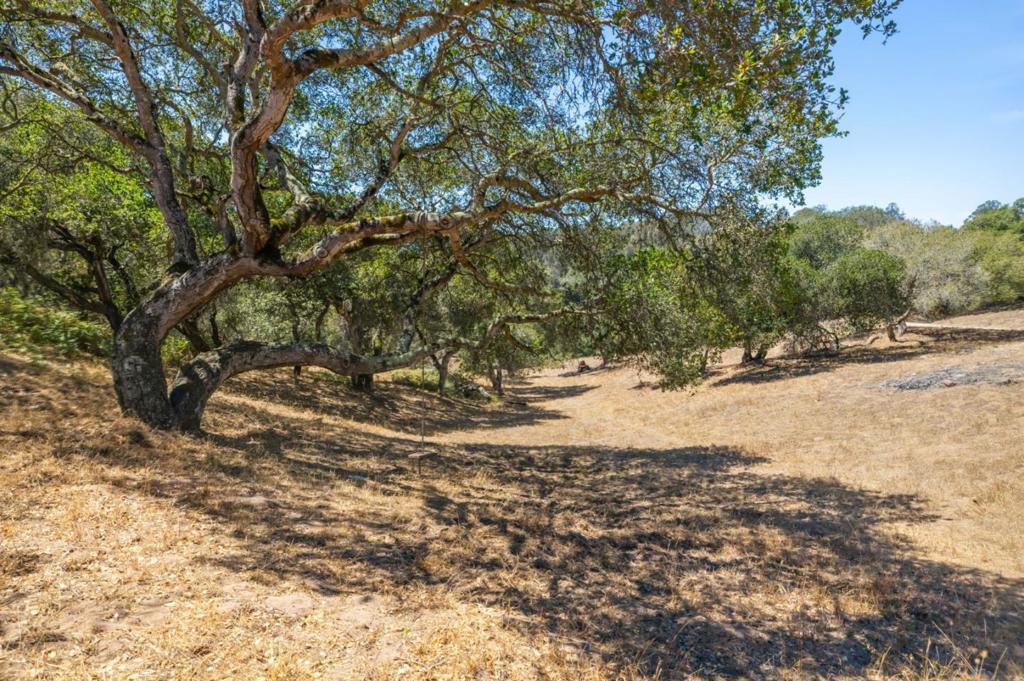 18820 Vierra Canyon Road Property Photo 28